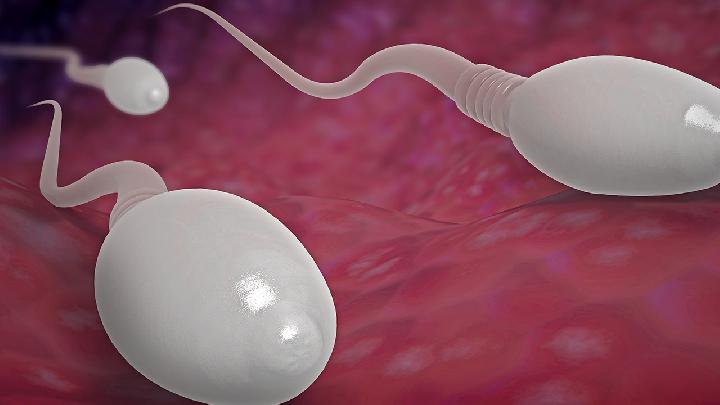 暗中潜伏的隐形杀手 塑料污染如何蚕食男性生育能力